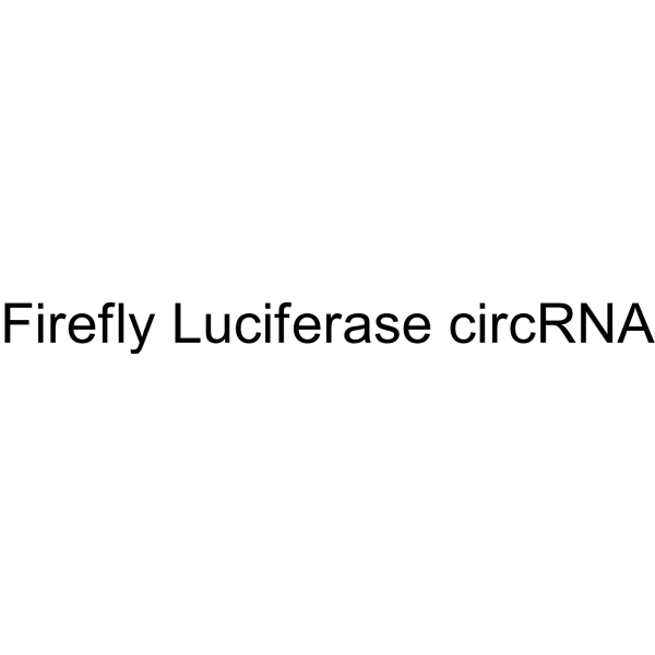 Firefly Luciferase circRNA